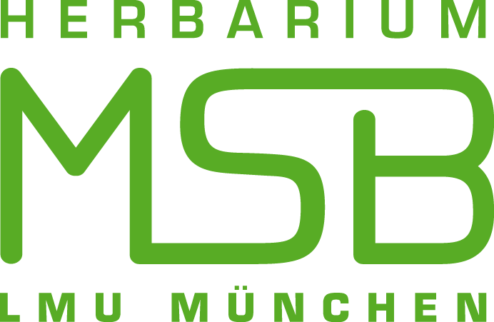 Herbarium MSB